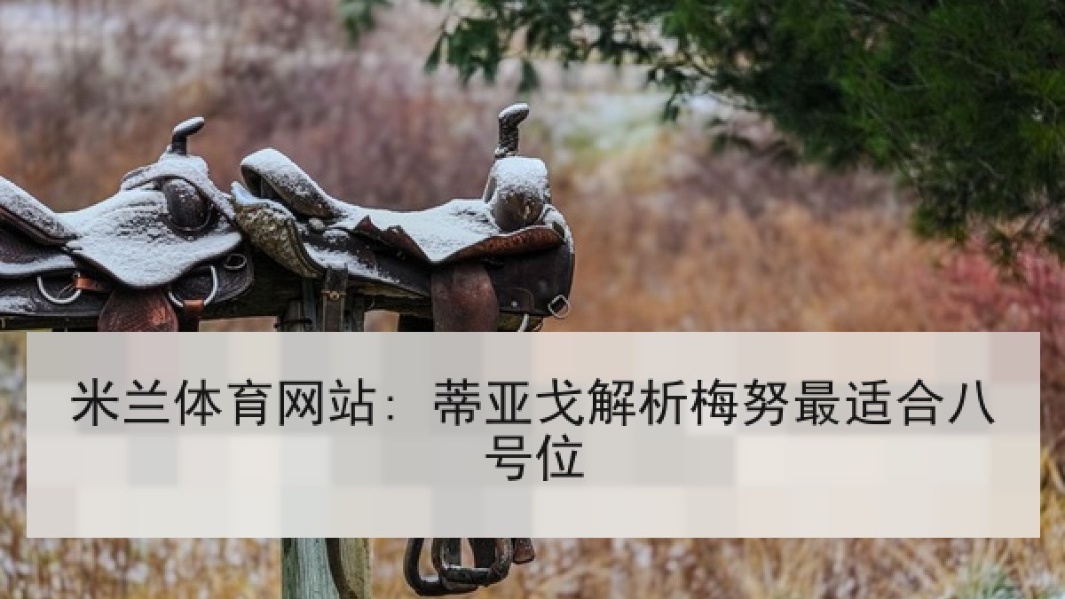 米兰体育网站: 蒂亚戈解析梅努最适合八号位